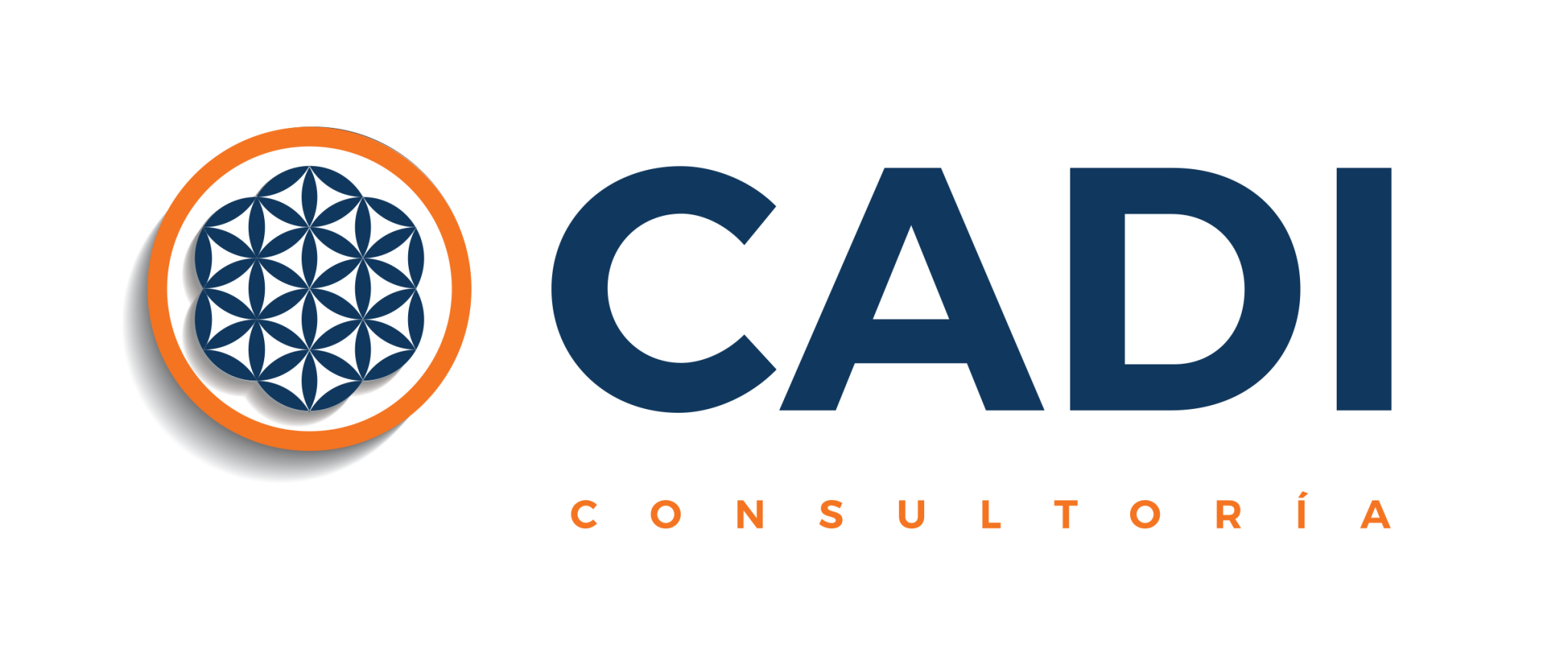 CADI Consultoría Organizacional - Puebla